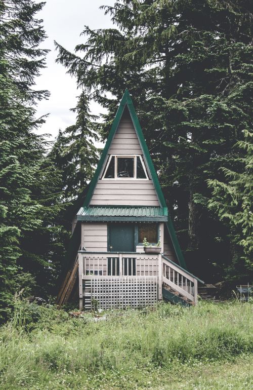 A small A-frame cabin with a green roof is nestled amidst tall, dense trees, with a grassy area in the foreground, giving it a secluded vibe.