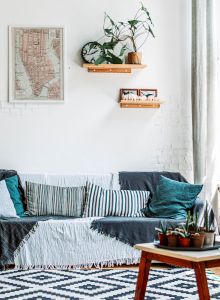 A cozy living room with a sofa, patterned rug, plants, wall art, and a coffee table. Sunlight streams in from large windows, brightening the space.