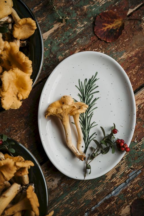 A white plate with a mushroom, a sprig of rosemary, and some red berries on a rustic wooden surface, surrounded by more mushrooms in bowls.