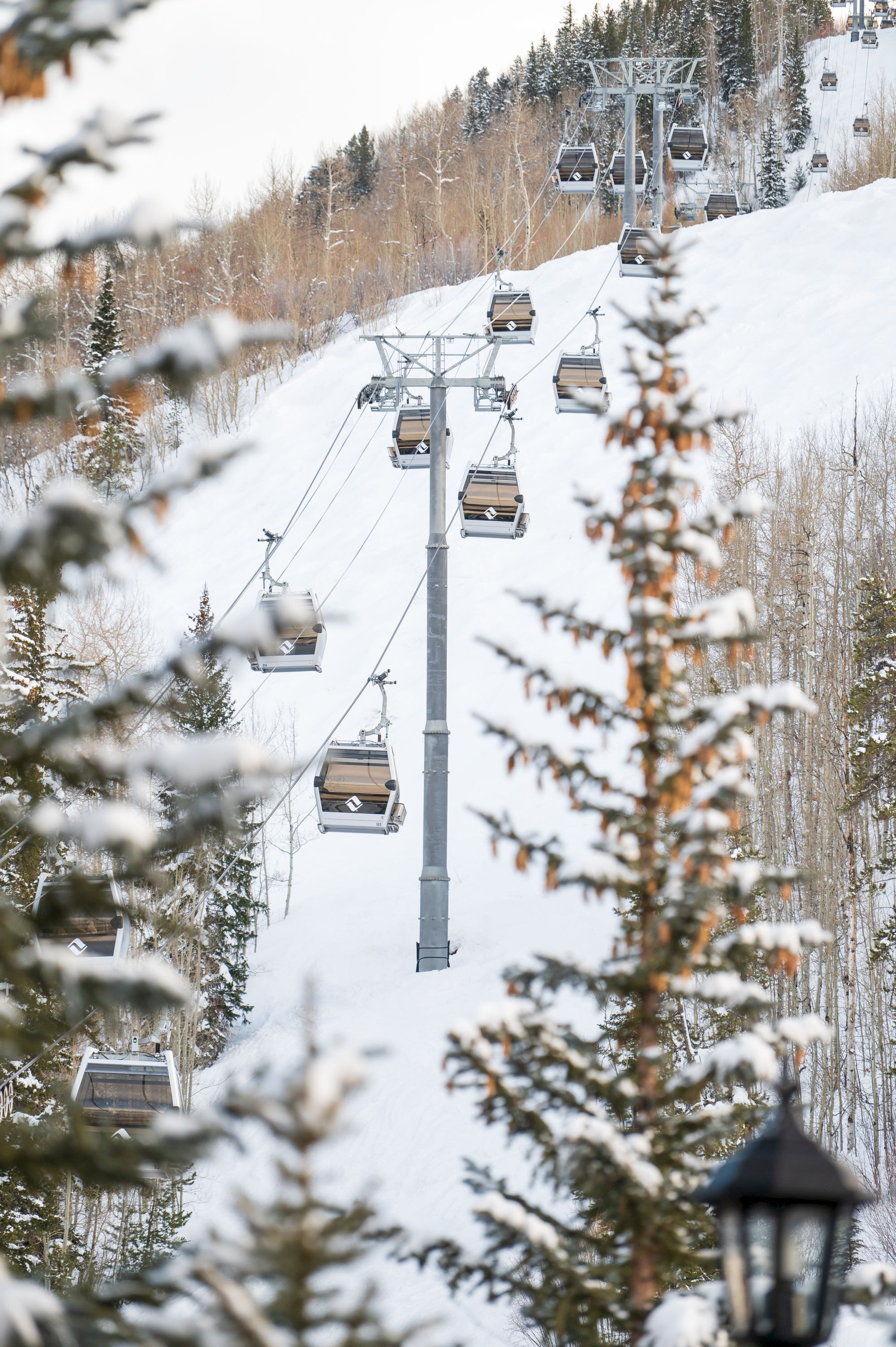 A snowy mountain scene with a chairlift transporting people uphill. Evergreen trees are in the foreground, framing the winter landscape.