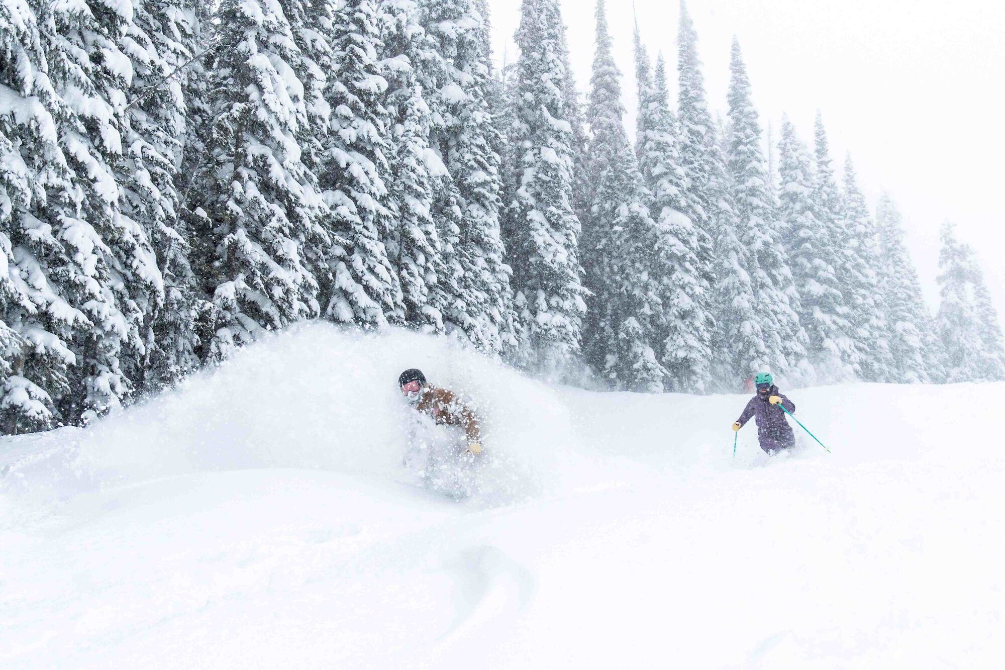 Two skiers carve through fresh powder on a snowy slope, evergreen trees lining the background, wintery spray flying as they descend.