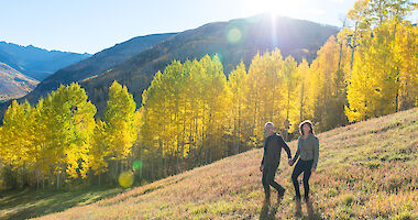 Christiania At Vail