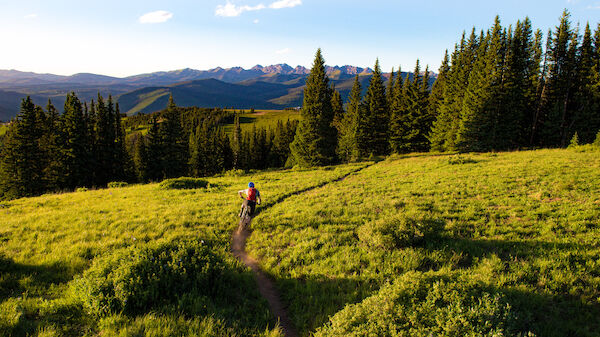 A person hiking along a narrow trail through a sunlit meadow, with pine trees, rolling hills, and distant mountains under a clear blue sky.
