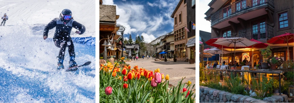 vailspring image
