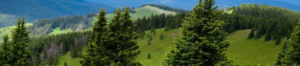 vailsummer.1800x400
