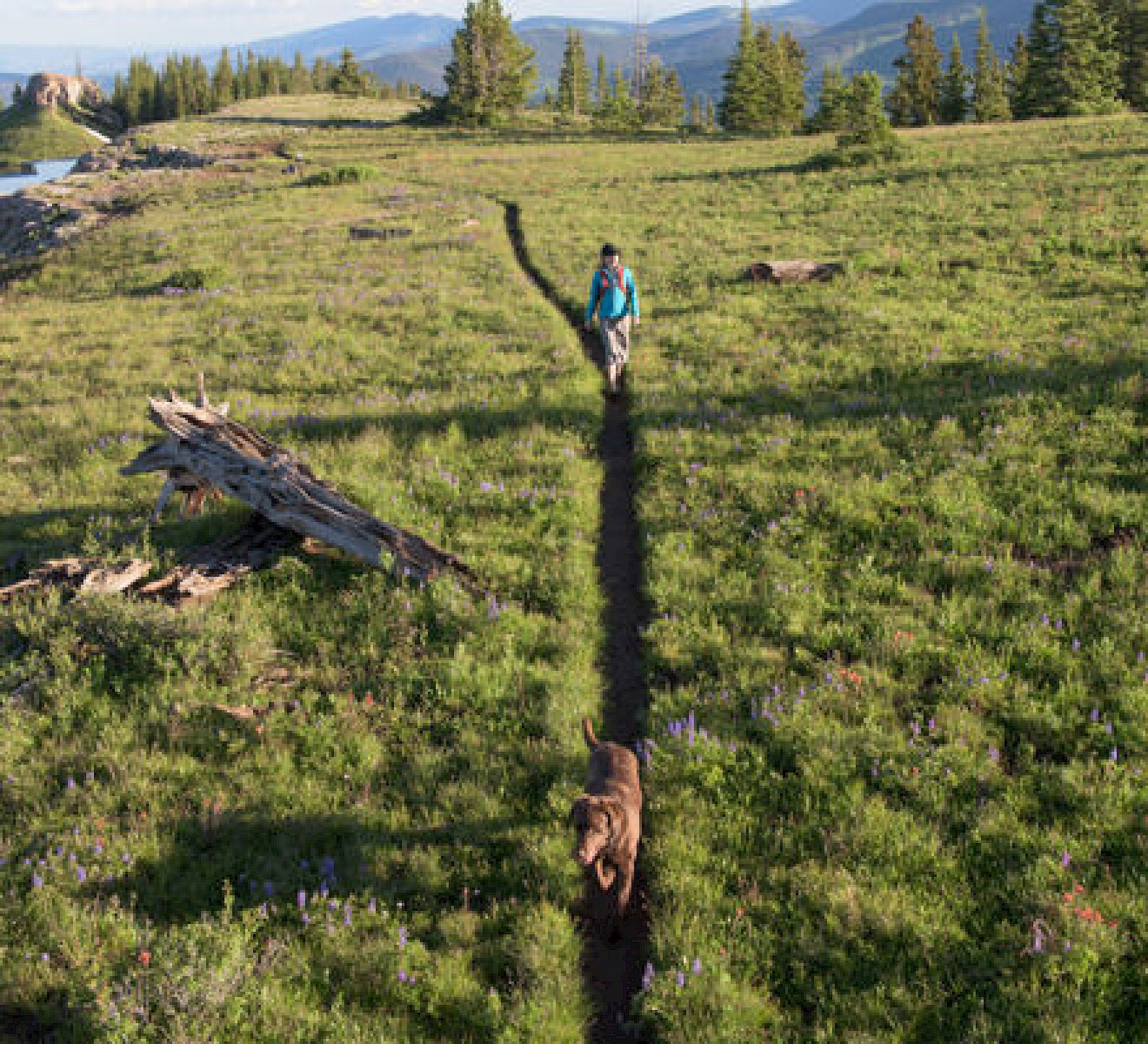 vail_summer_crpd440x400.2000x0