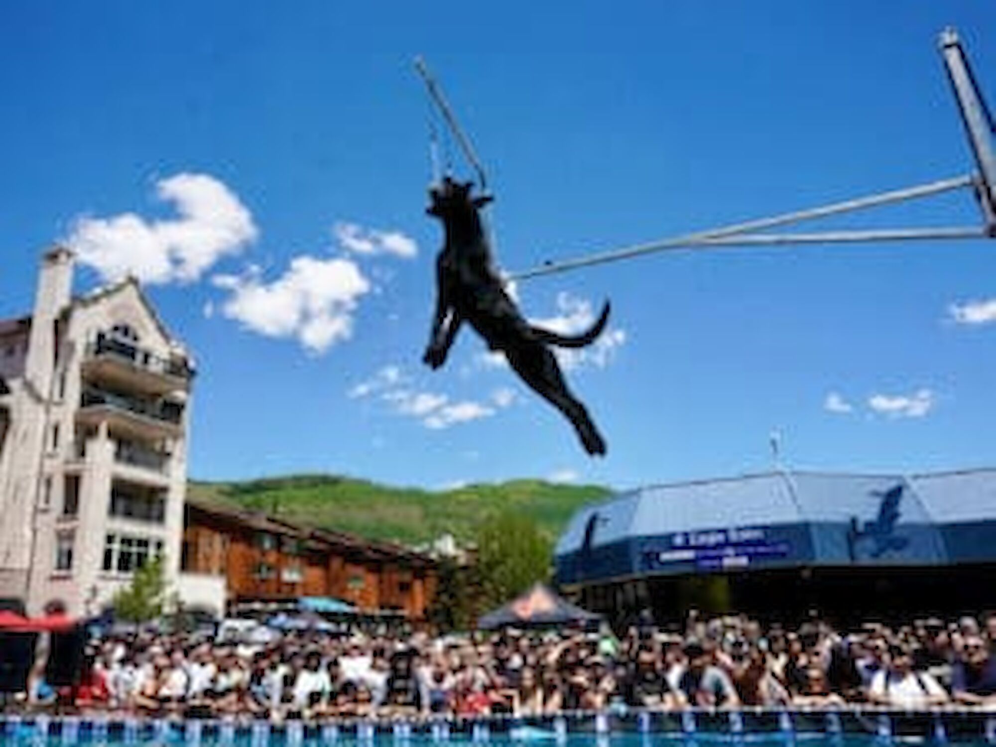 dockdogs-24-wrap-story-chris-kendig-300x225.2000x0